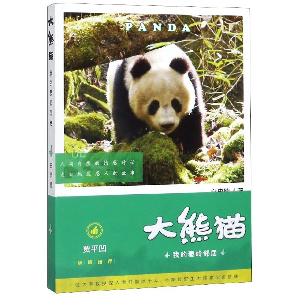 大熊猫(我的秦岭邻居)