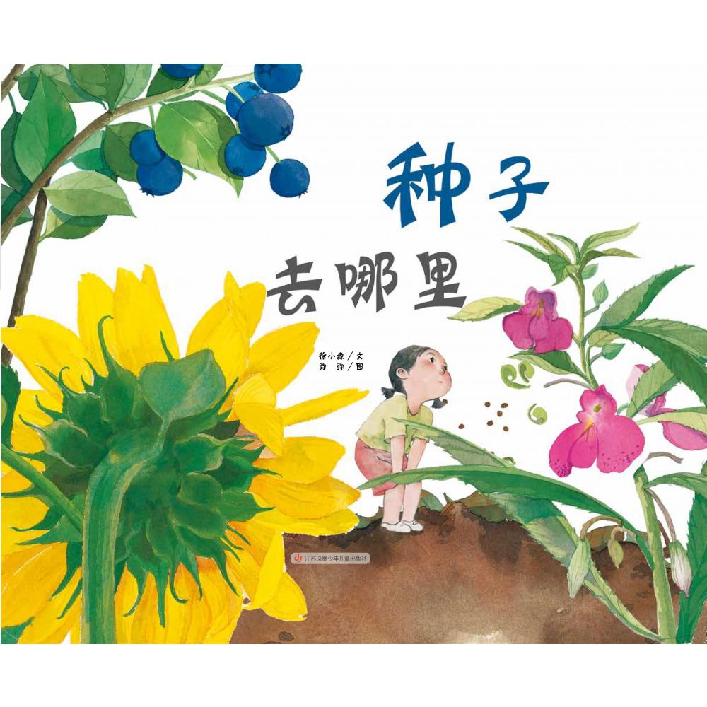 种子去哪里