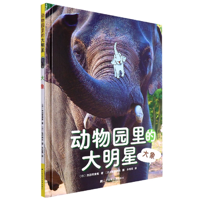 动物园里的大明星：大象