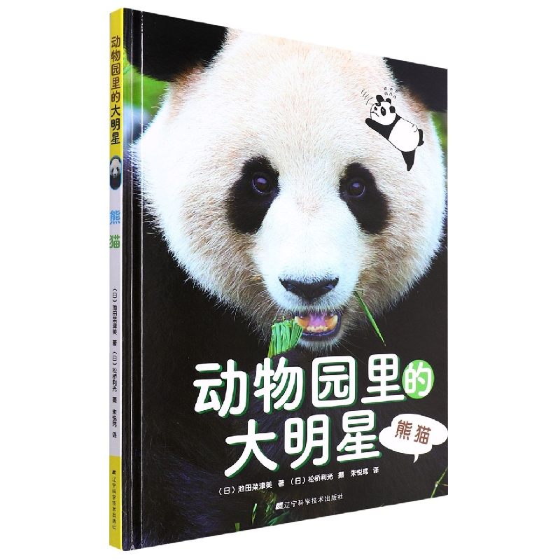 动物园里的大明星：熊猫