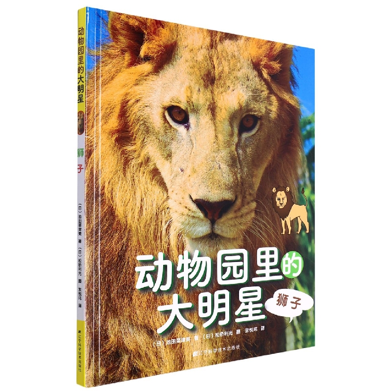 动物园里的大明星：狮子