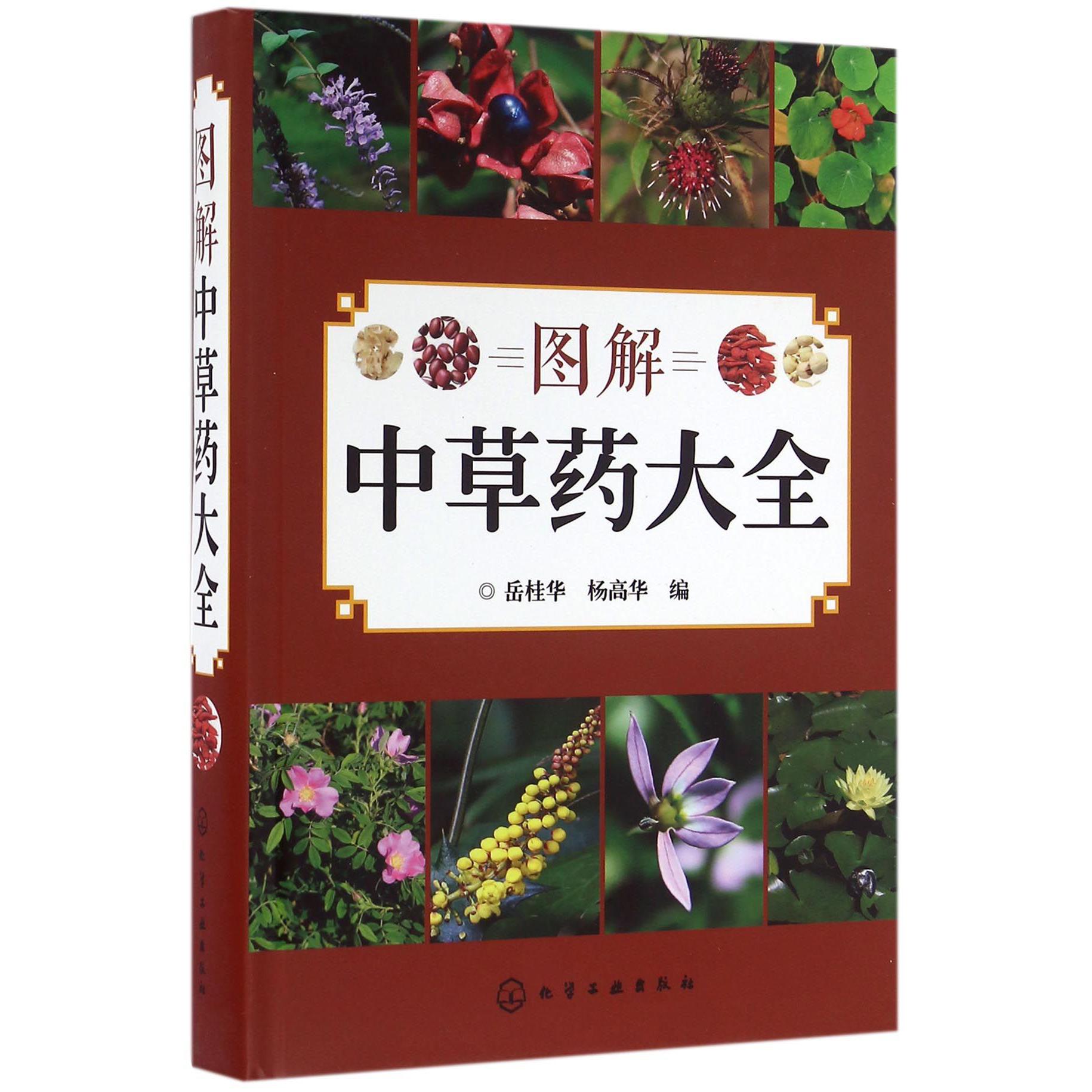 图解中草药大全(精)