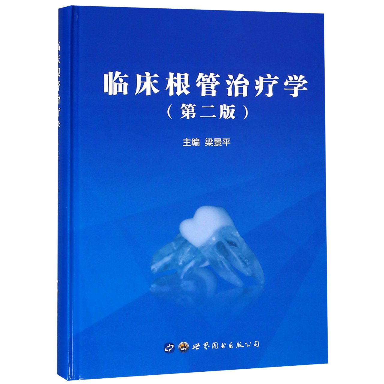 临床根管治疗学（第2版）（精）