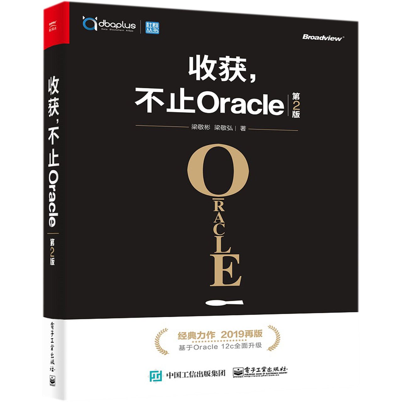 收获不止Oracle（第2版）/社群丛书