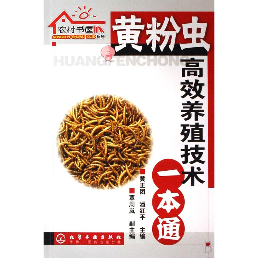 黄粉虫高效养殖技术一本通/农村书屋系列
