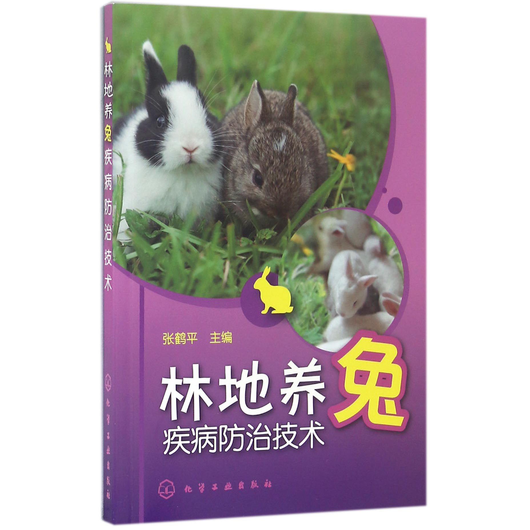 林地养兔疾病防治技术
