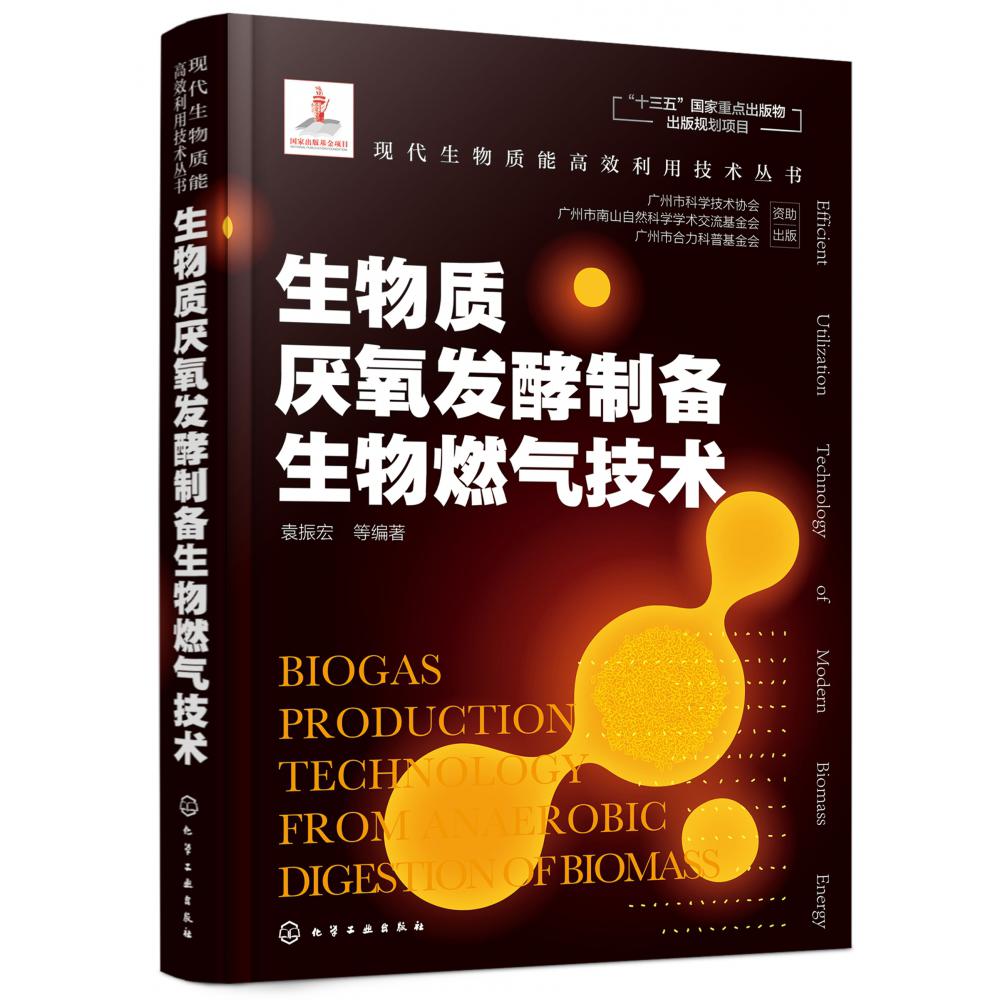 生物质厌氧发酵制备生物燃气技术(精)/现代生物质能高效利用技术丛书