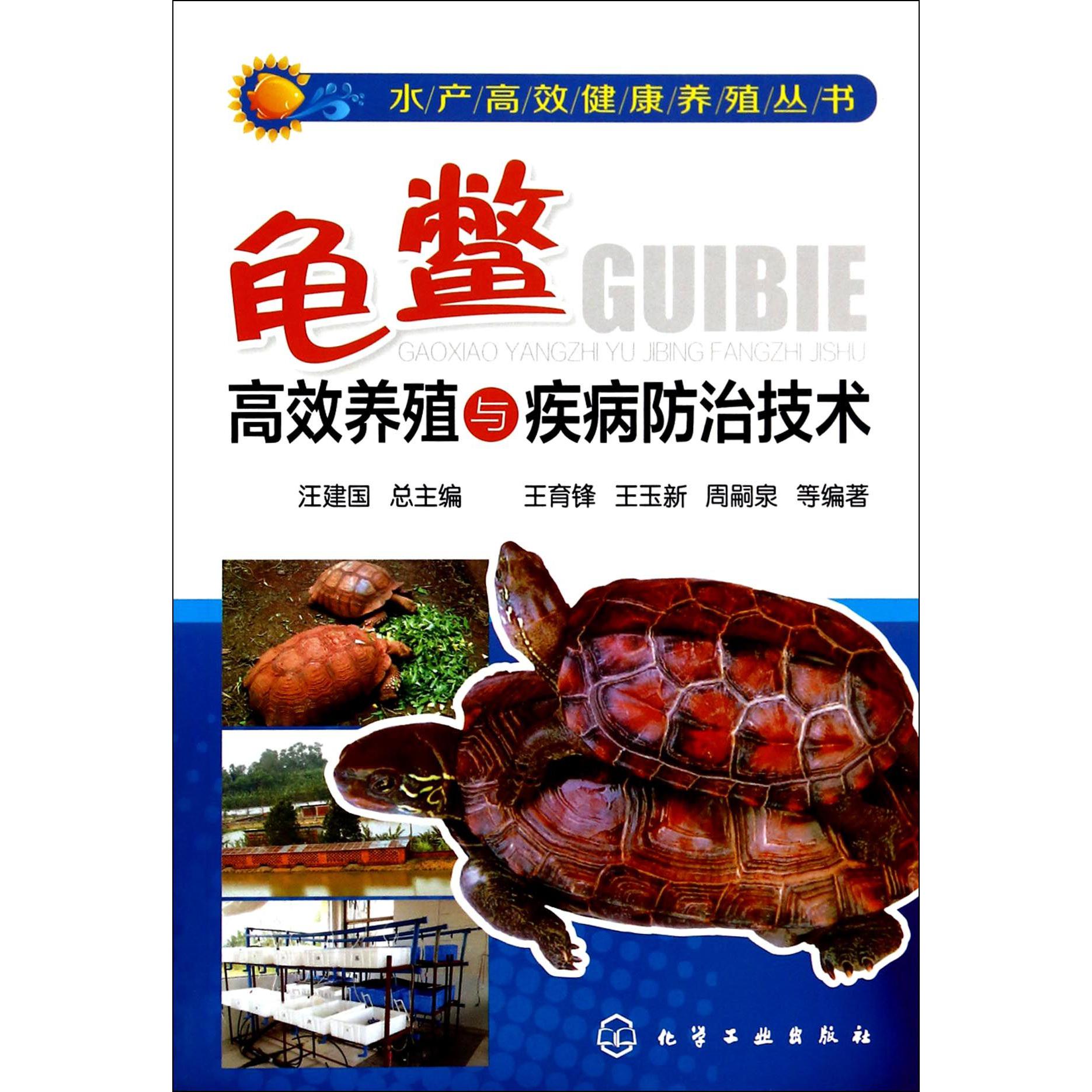 龟鳖高效养殖与疾病防治技术/水产高效健康养殖丛书
