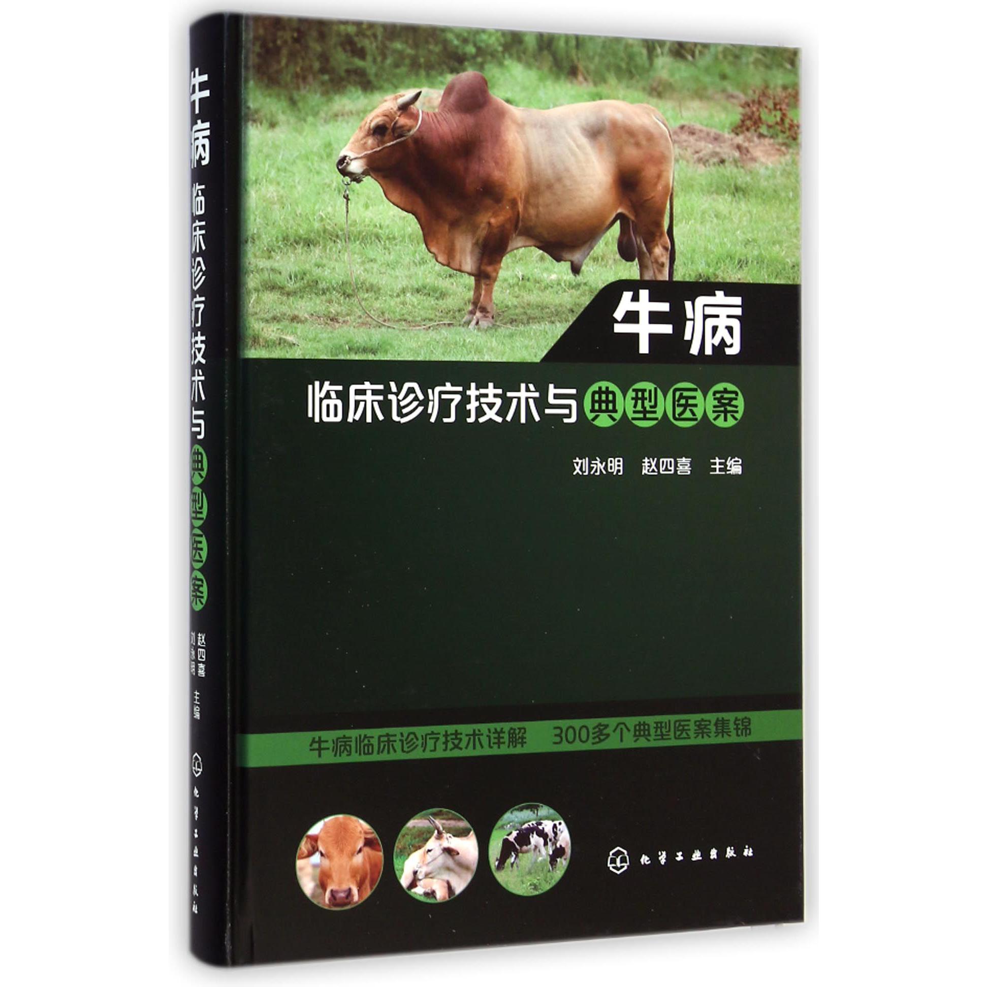 牛病临床诊疗技术与典型医案（精）