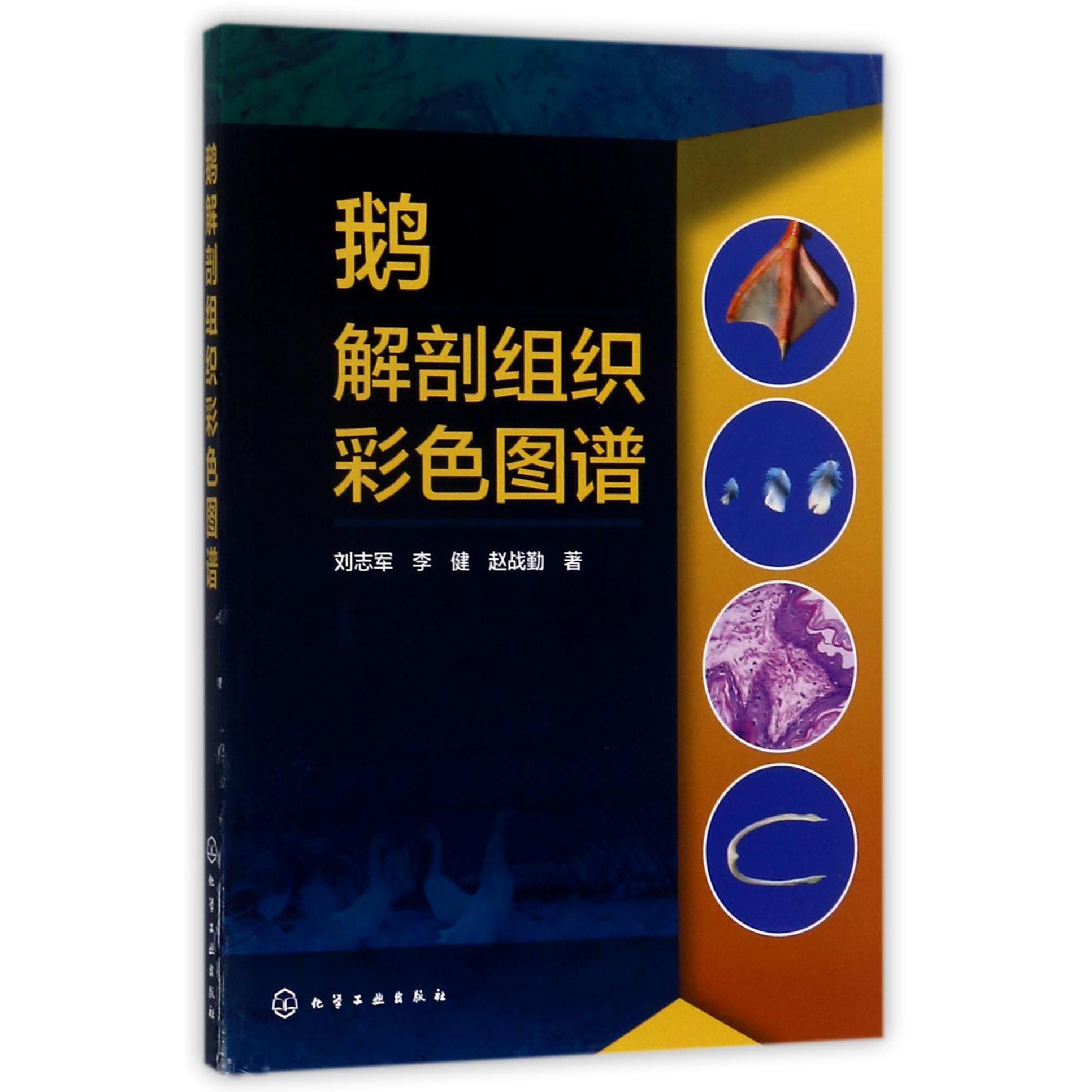 鹅解剖组织彩色图谱