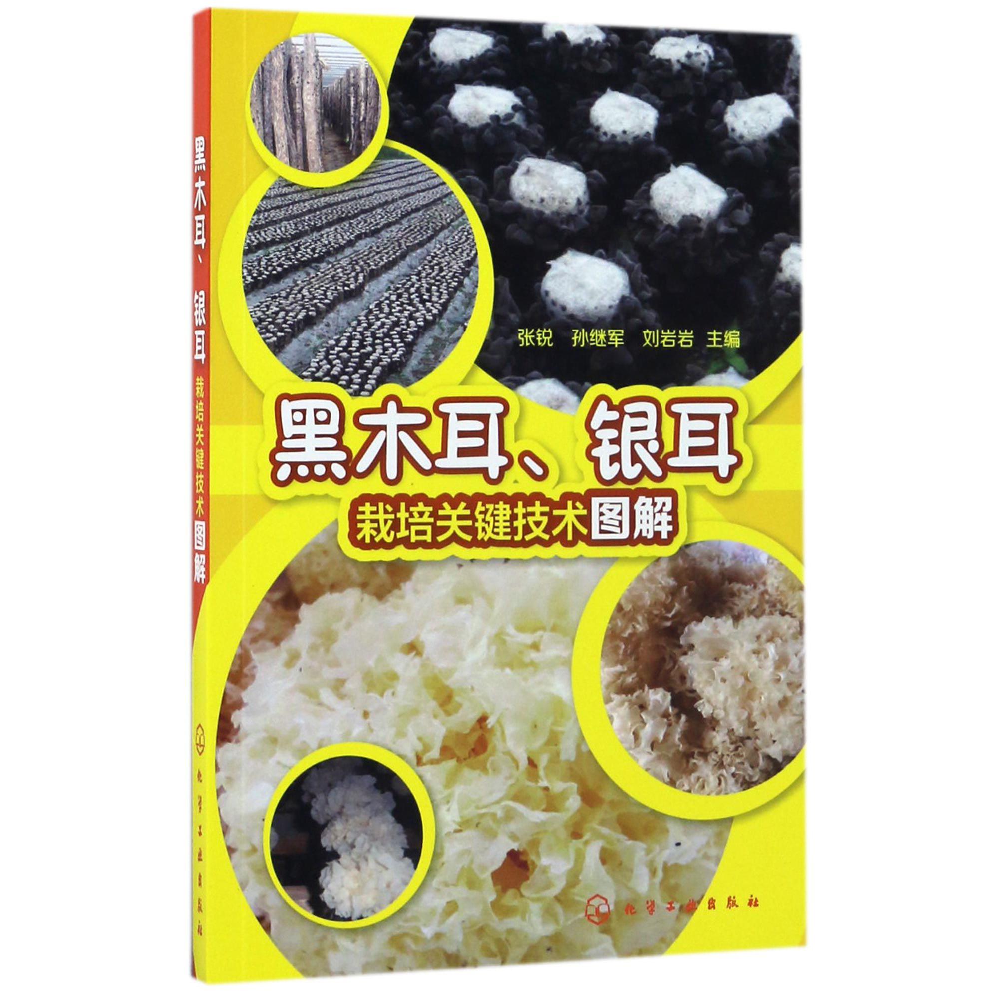 黑木耳银耳栽培关键技术图解