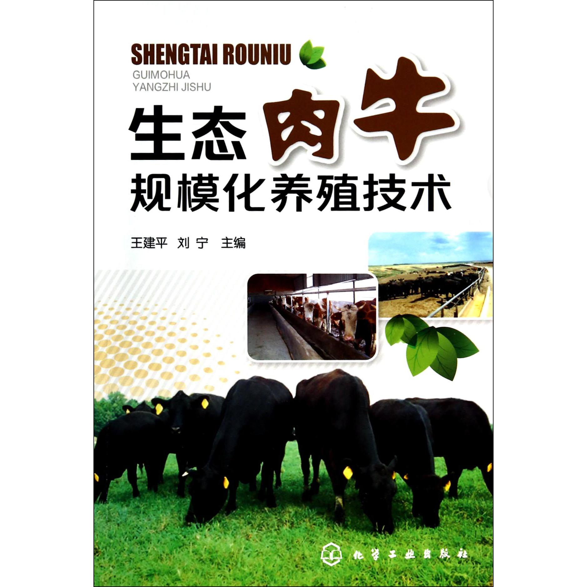 生态肉牛规模化养殖技术