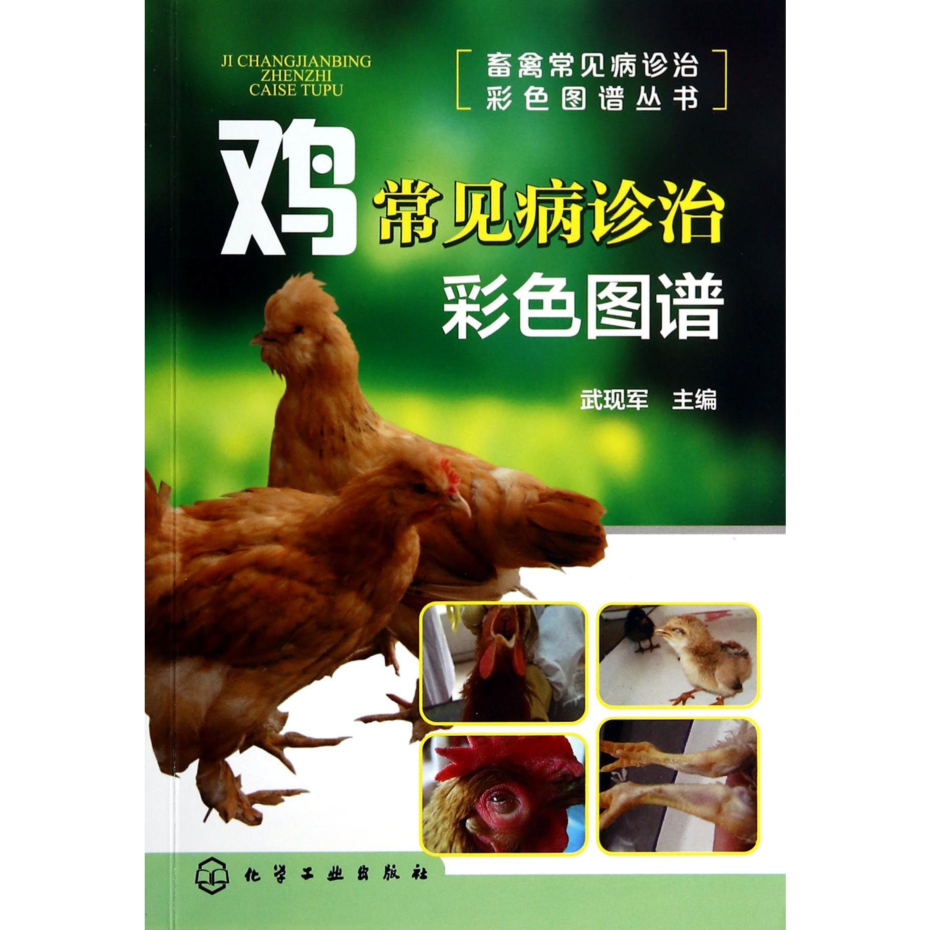 鸡常见病诊治彩色图谱/畜禽常见病诊治彩色图谱丛书