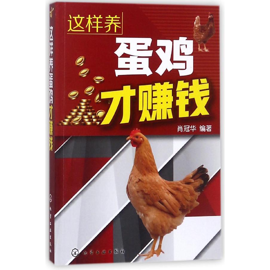 这样养蛋鸡才赚钱