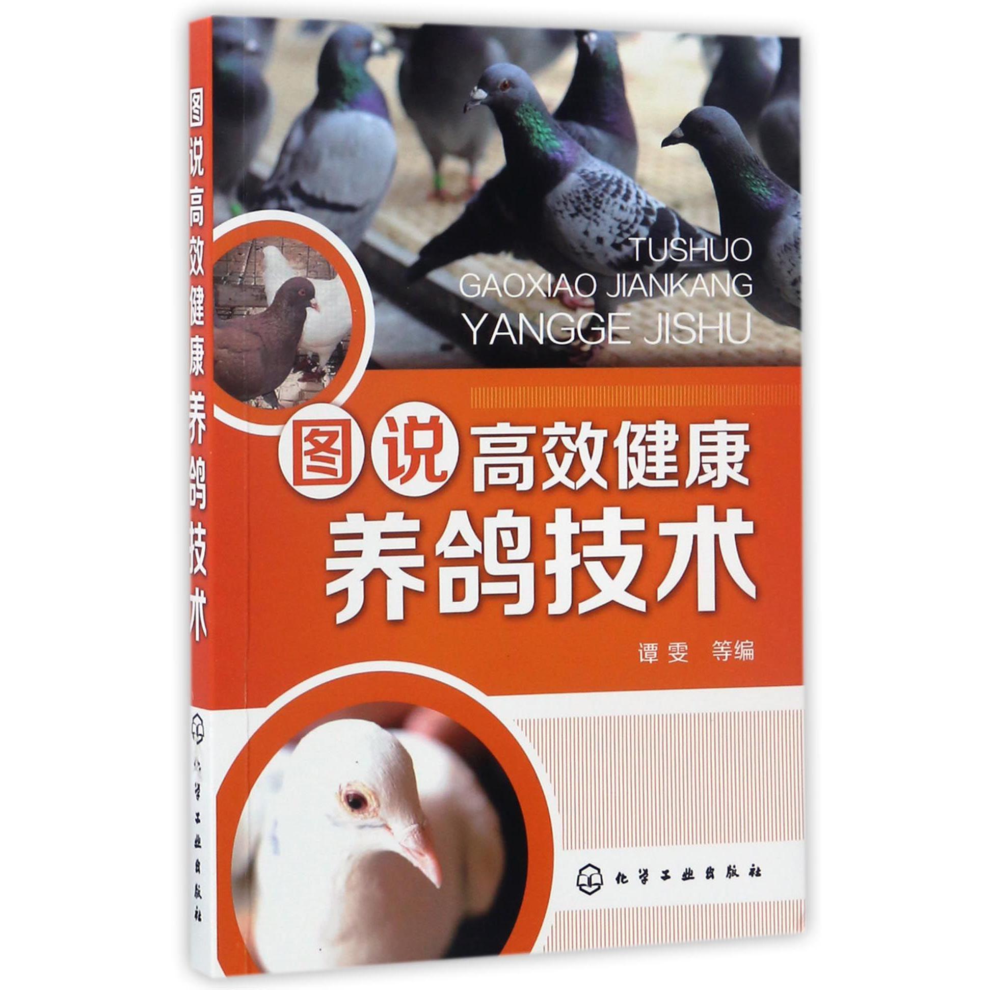 图说高效健康养鸽技术