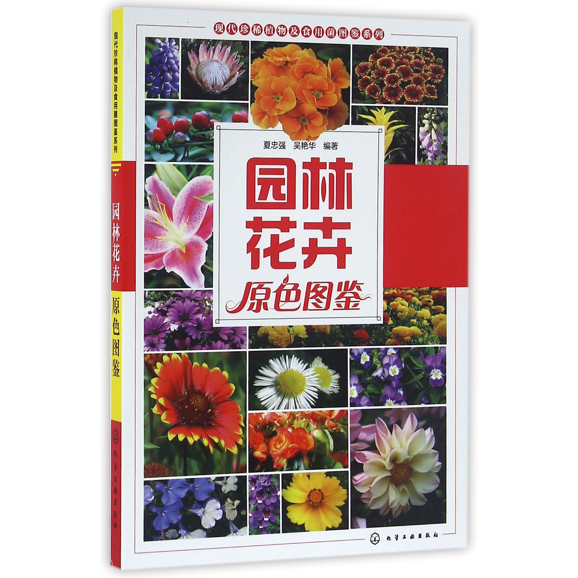 园林花卉原色图鉴/现代珍稀植物及食用菌图鉴系列