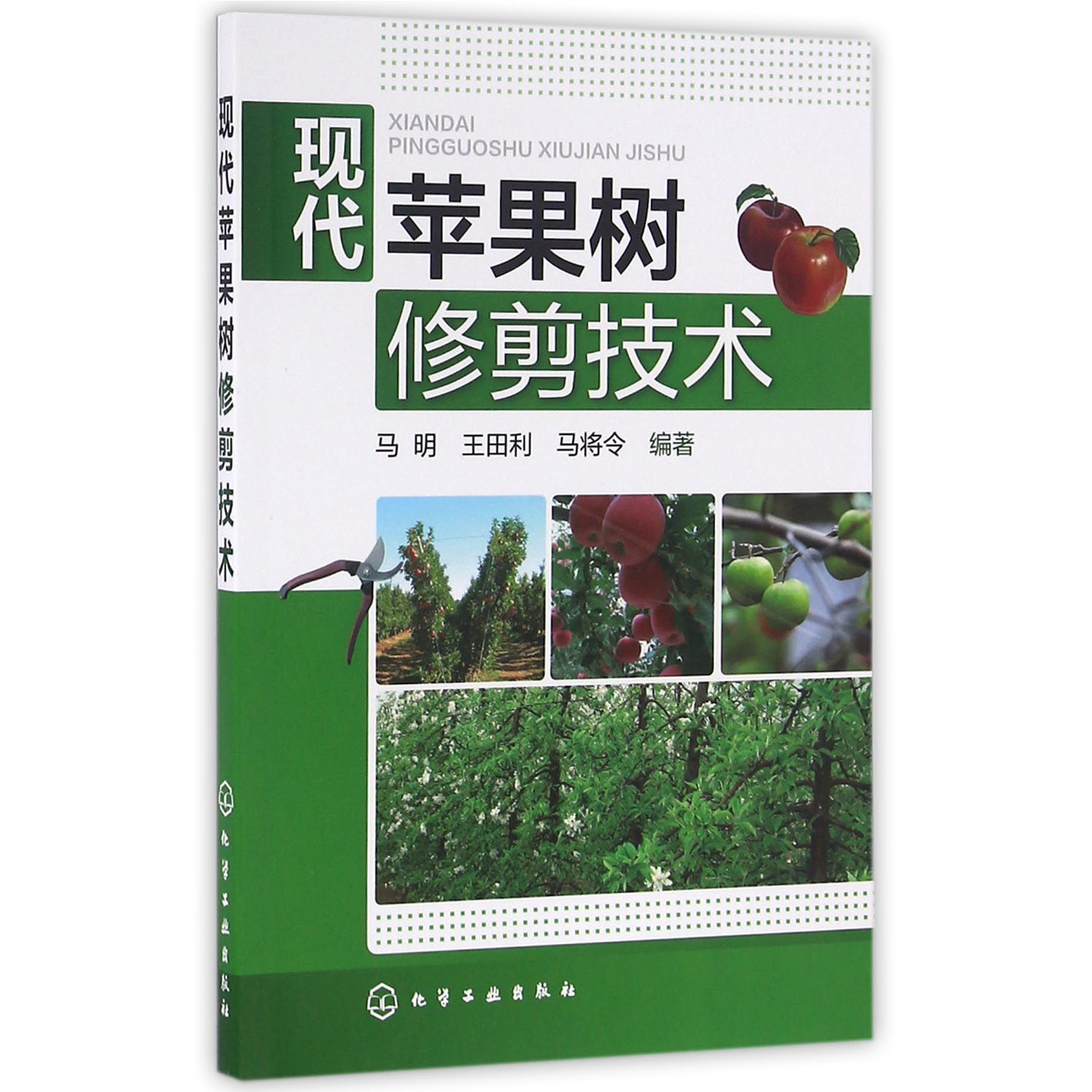现代苹果树修剪技术