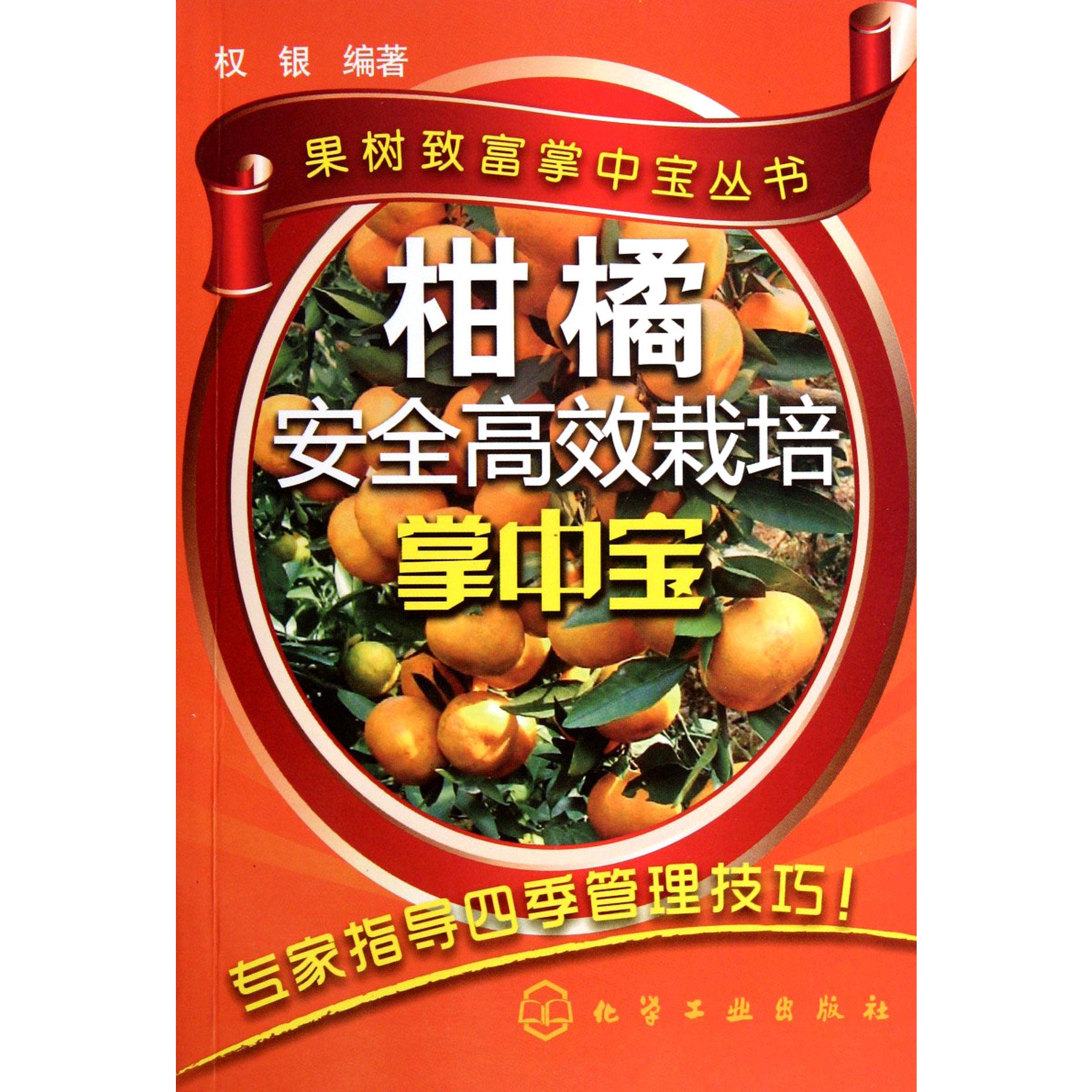 柑橘安全高效栽培掌中宝/果树致富掌中宝丛书