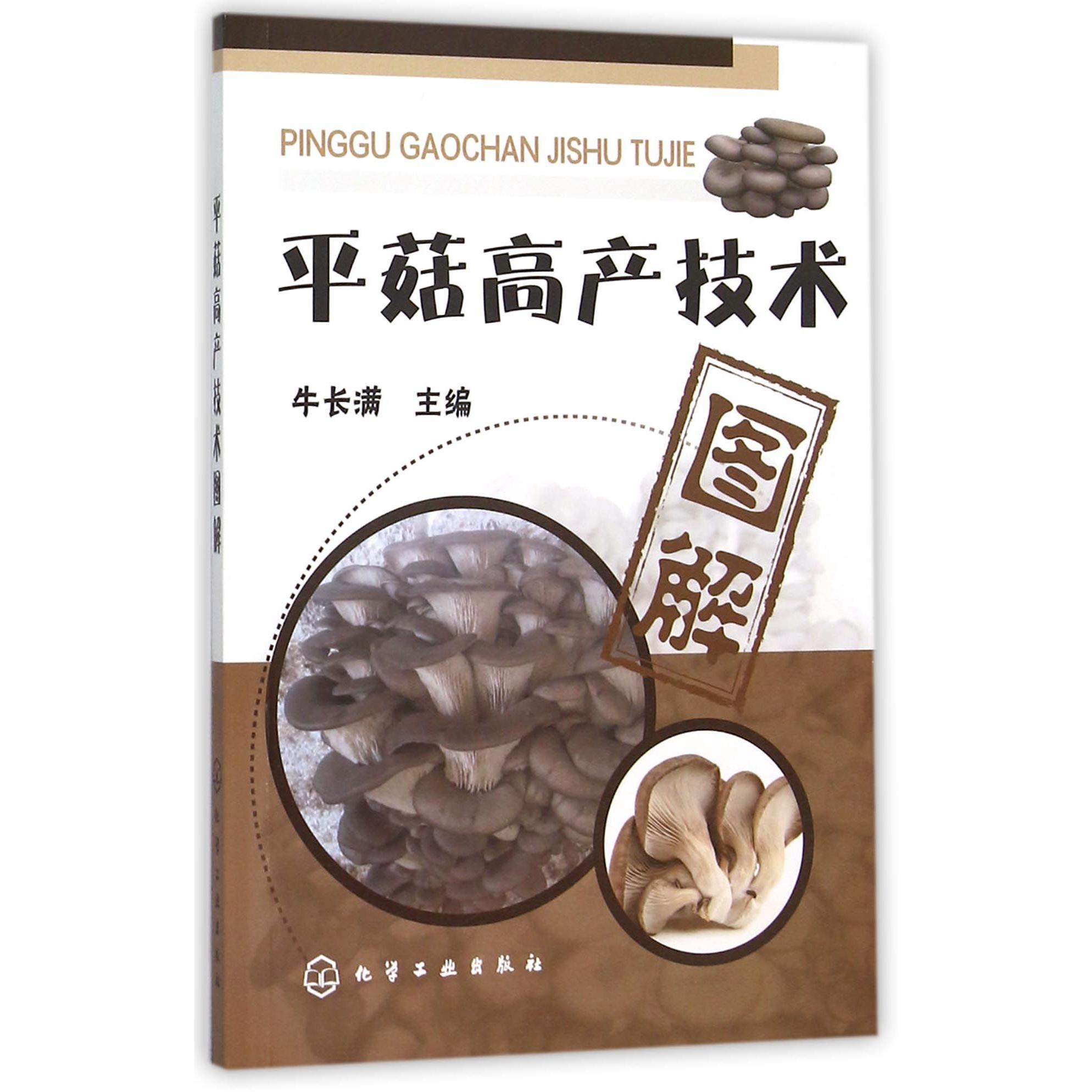 平菇高产技术图解