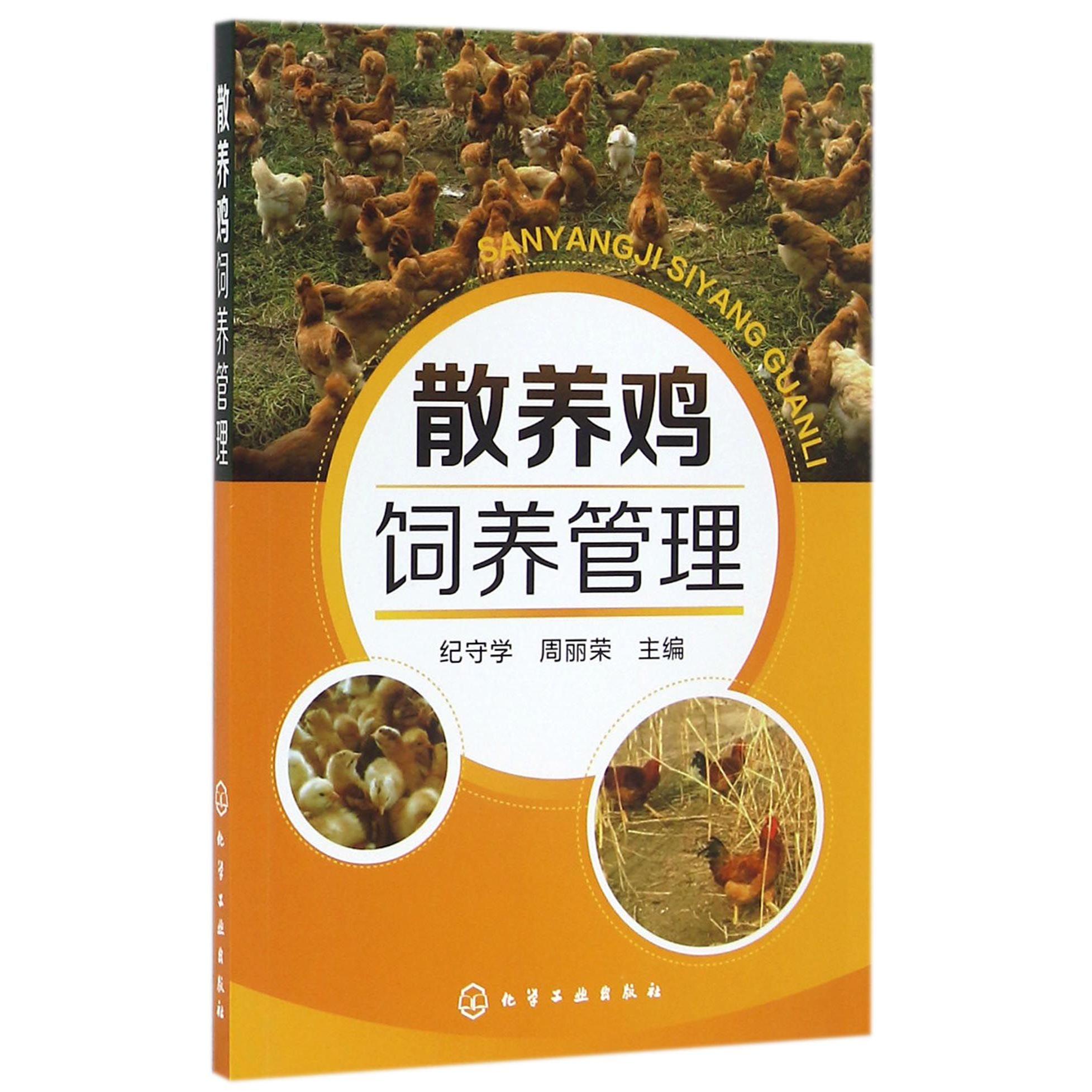 散养鸡饲养管理