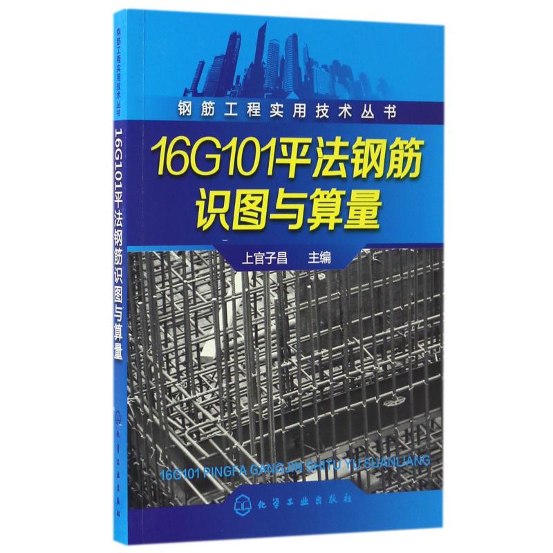 16G101平法钢筋识图与算量/钢筋工程实用技术丛书