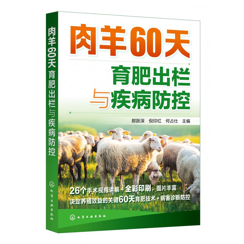 肉羊60天育肥出栏与疾病防控