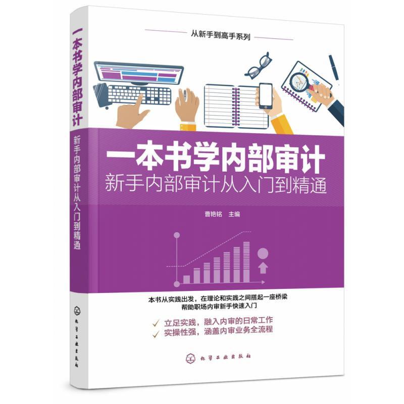 一本书学内部审计(新手内部审计从入门到精通)/从新手到高手系列