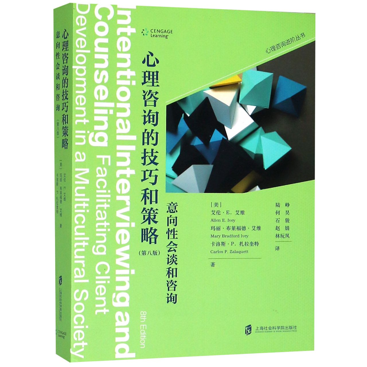 心理咨询的技巧和策略(意向性会谈和咨询第8版)/心理咨询进阶丛书