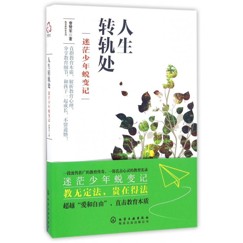 人生转轨处(迷茫少年蜕变记)/教育新探索系列