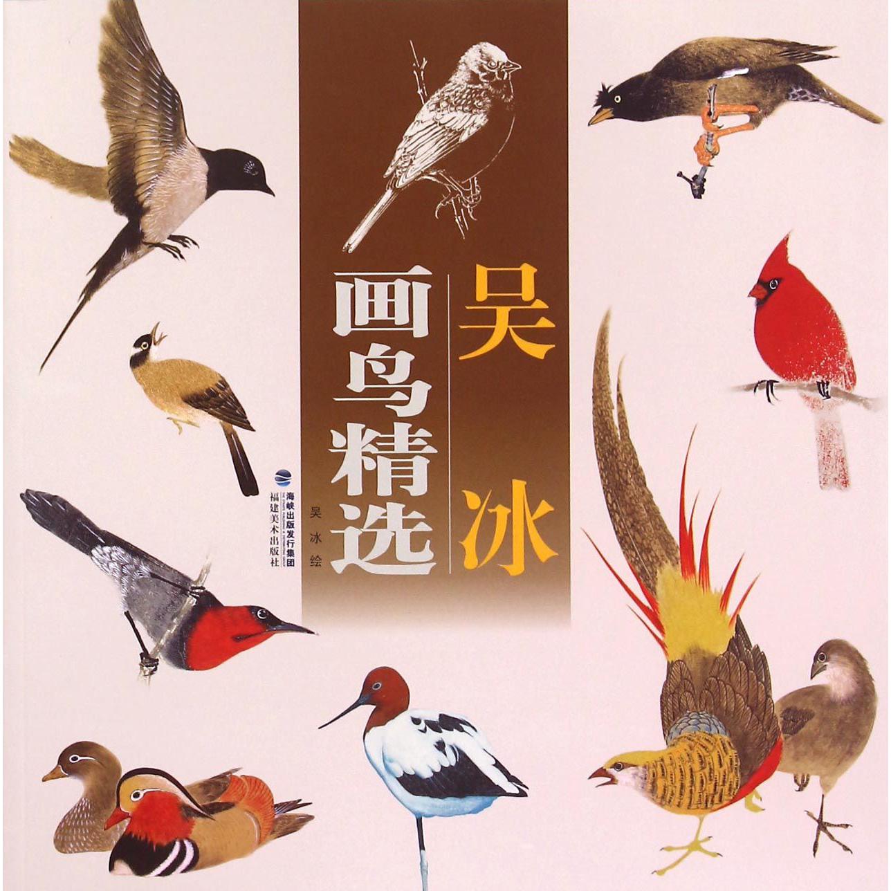 吴冰画鸟精选