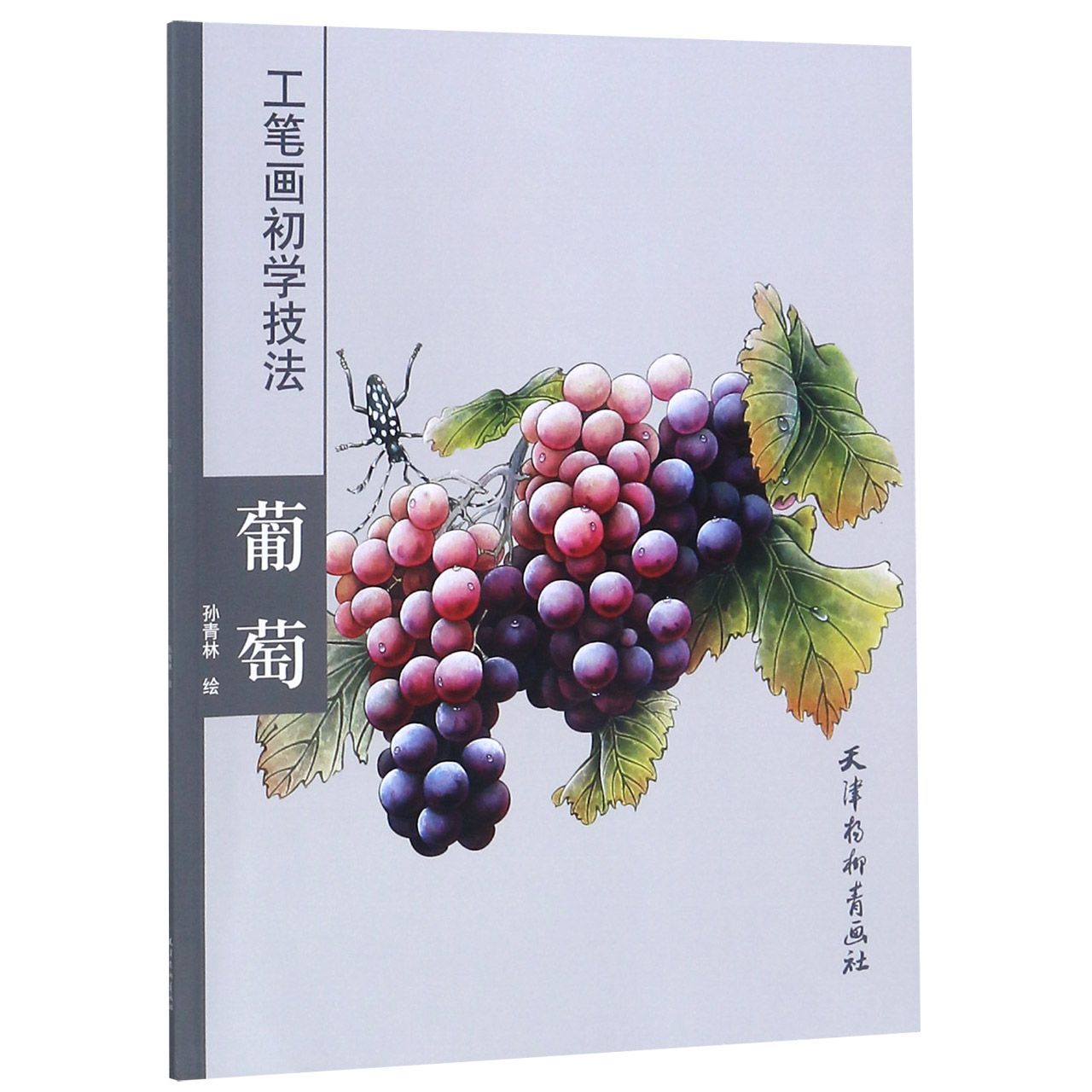 葡萄/工笔画初学技法
