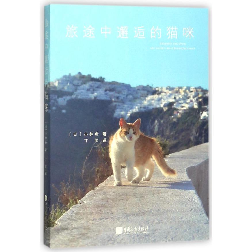 旅途中邂逅的猫咪