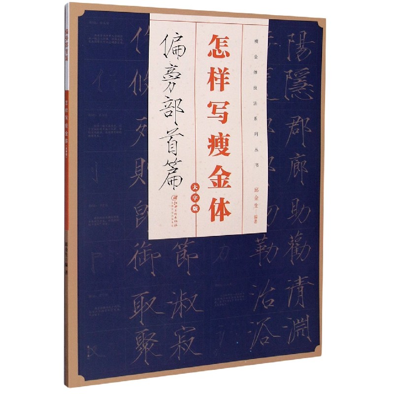 怎样写瘦金体(偏旁部首篇大字版)/瘦金体技法系列丛书