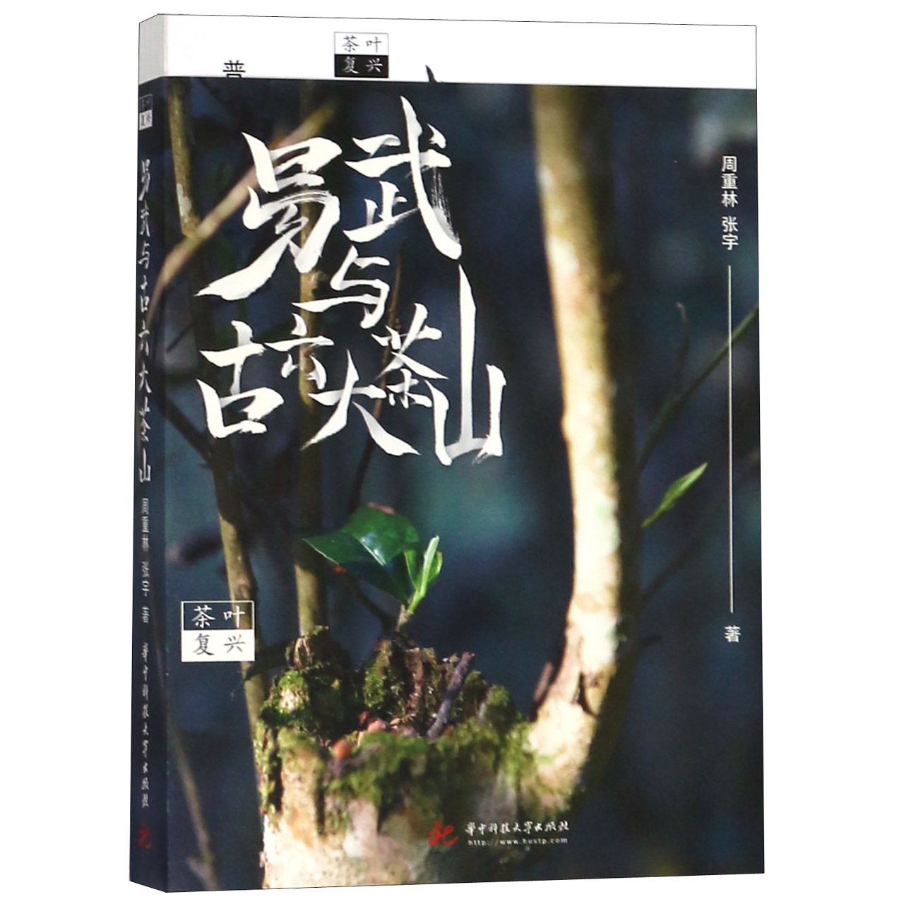 茶叶复兴(易武与古六大茶山)