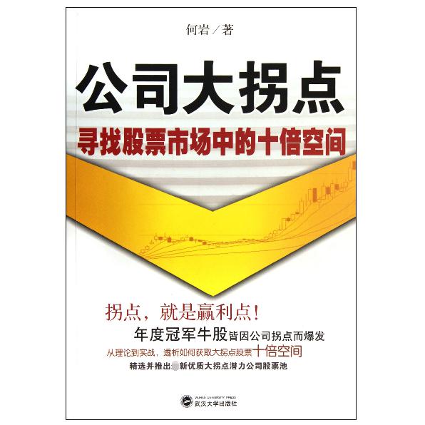 公司大拐点（寻找股票市场中的十倍空间）
