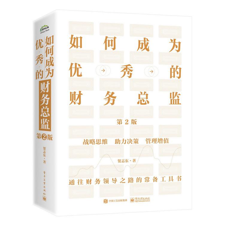 如何成为优秀的财务总监(第2版)