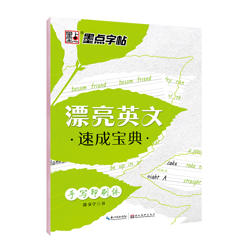 漂亮英文速成宝典(手写印刷体)