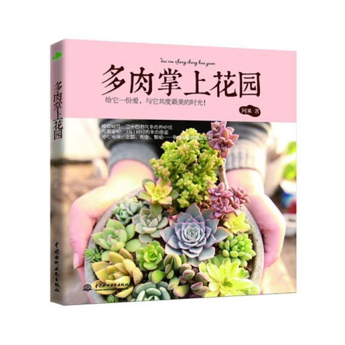 多肉掌上花园