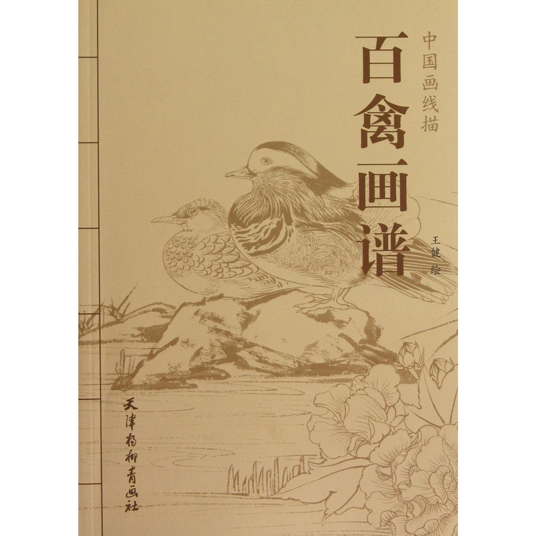百禽画谱（中国画线描）
