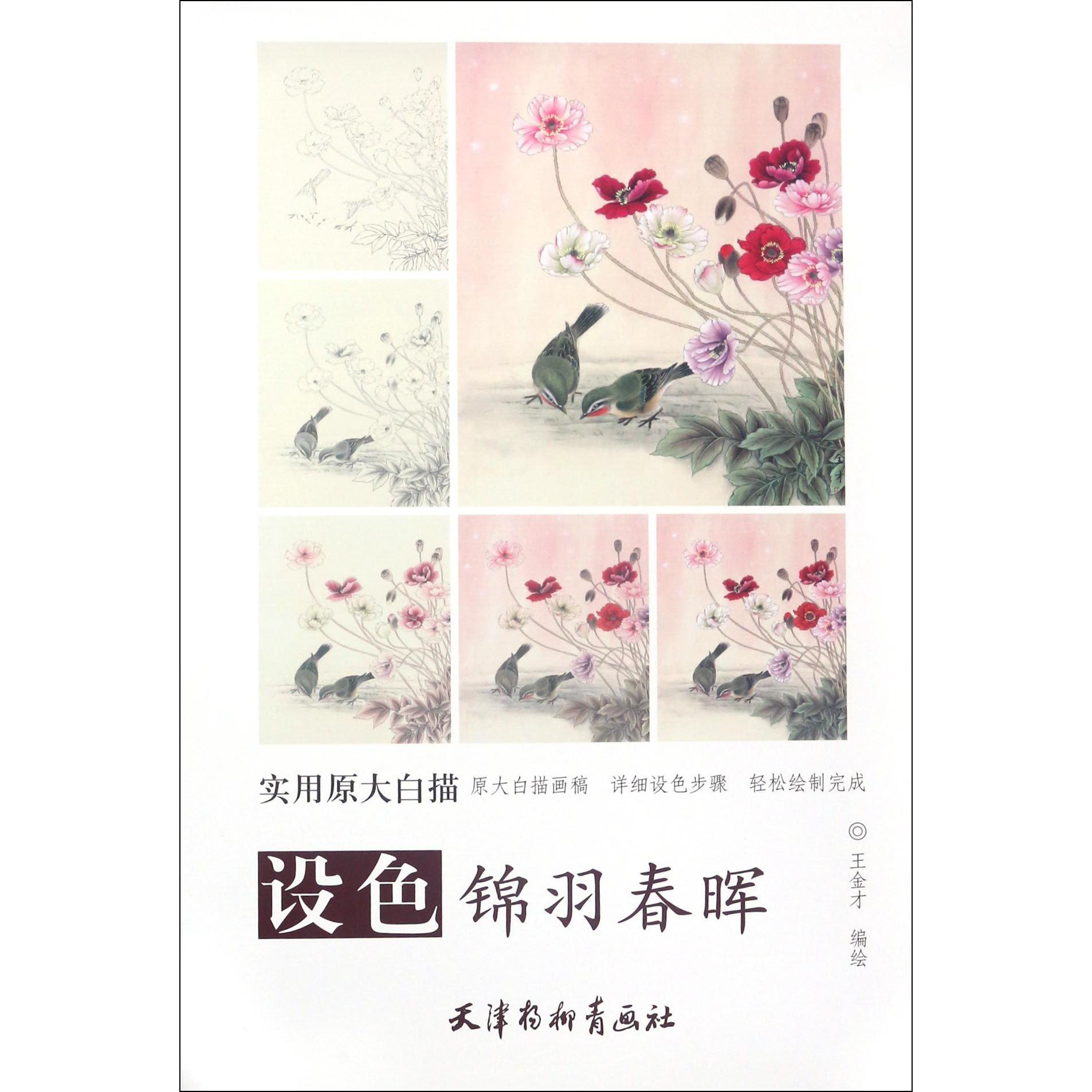 设色锦羽春晖/实用原大白描