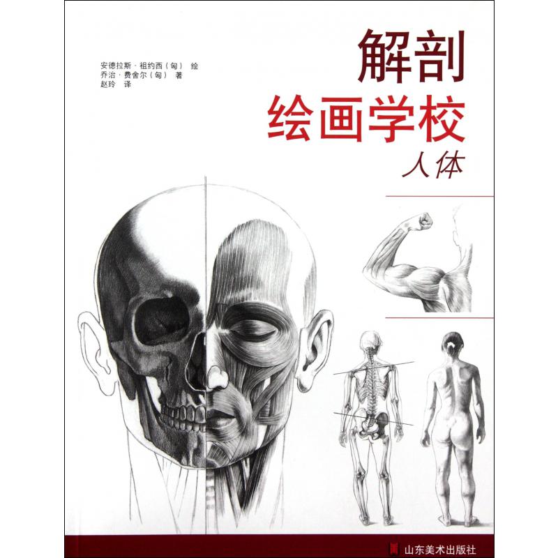 解剖绘画学校（人体）