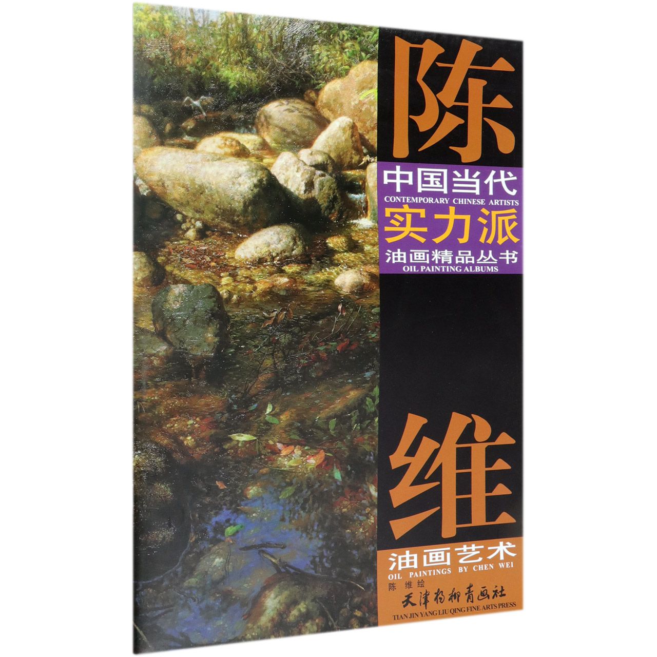 陈维油画艺术/中国当代实力派油画精品丛书