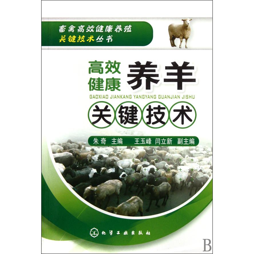 高效健康养羊关键技术/畜禽高效健康养殖关键技术丛书