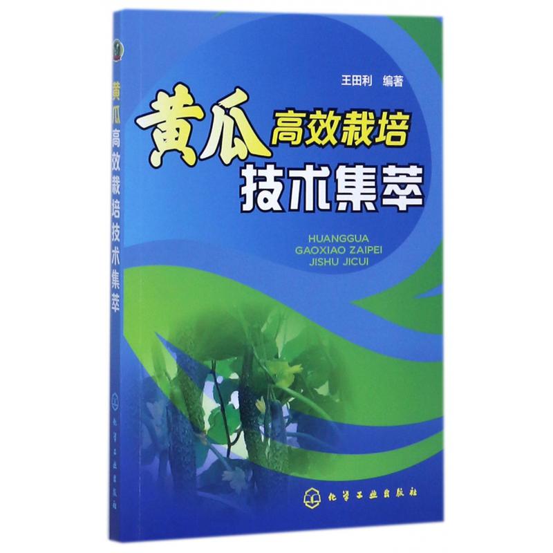黄瓜高效栽培技术集萃