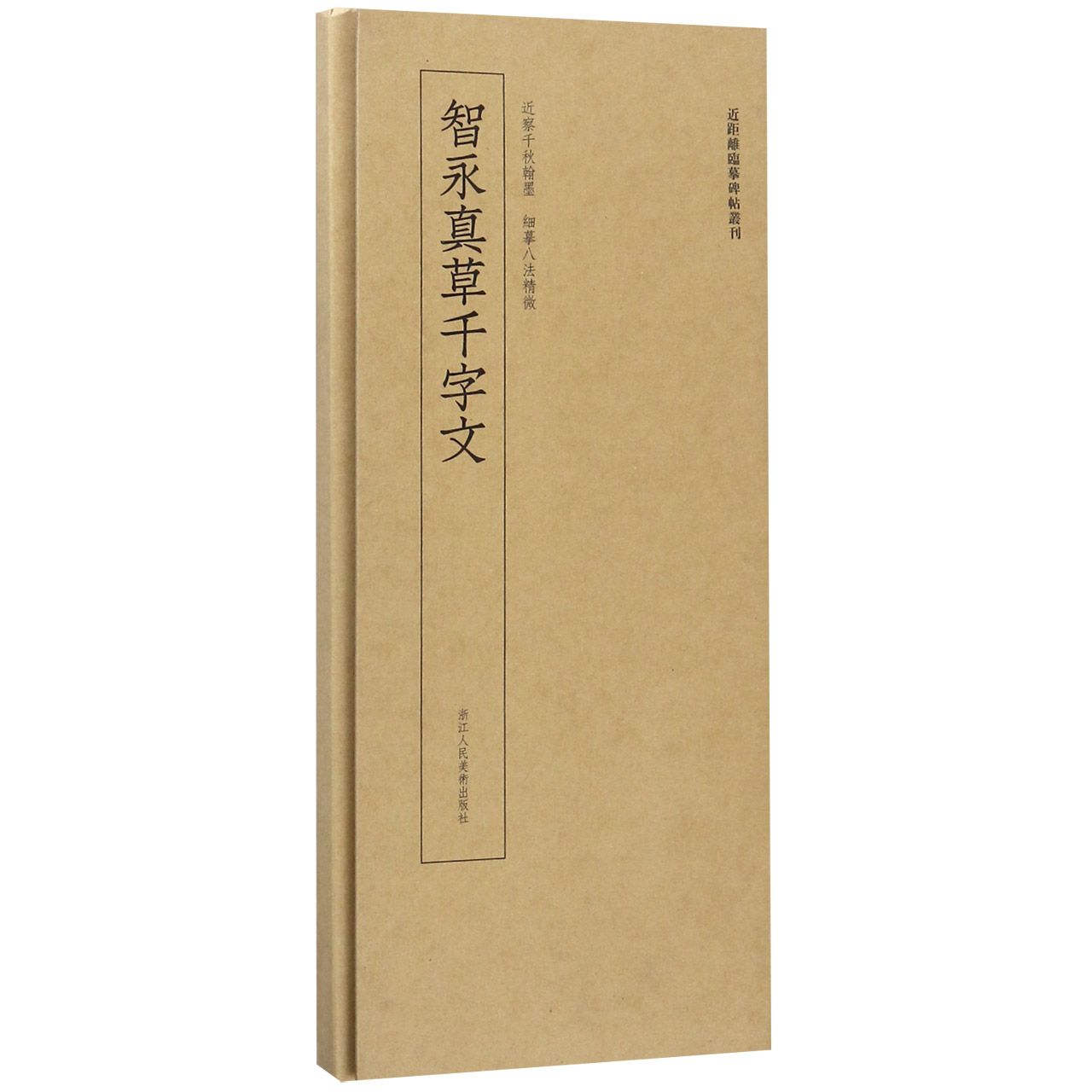 智永真草千字文/近距离临摹碑帖丛刊