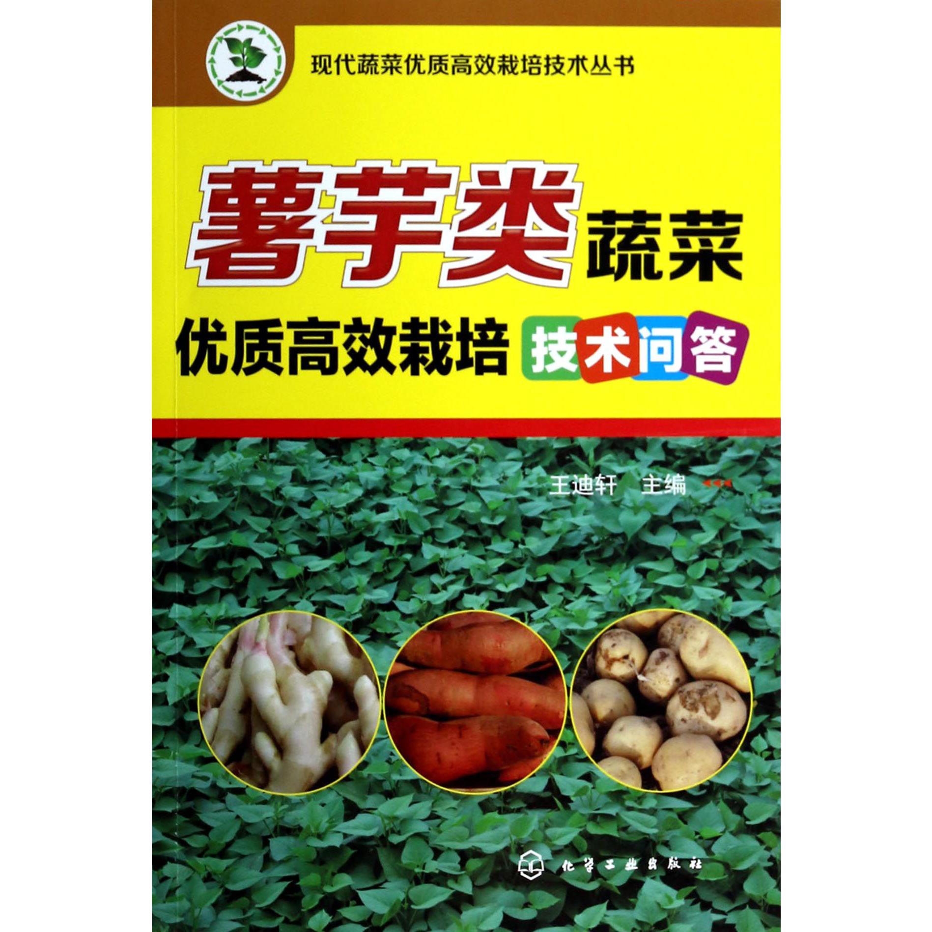 薯芋类蔬菜优质高效栽培技术问答/现代蔬菜优质高效栽培技术丛书