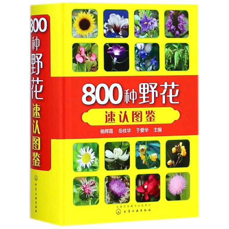 800种野花速认图鉴(精)