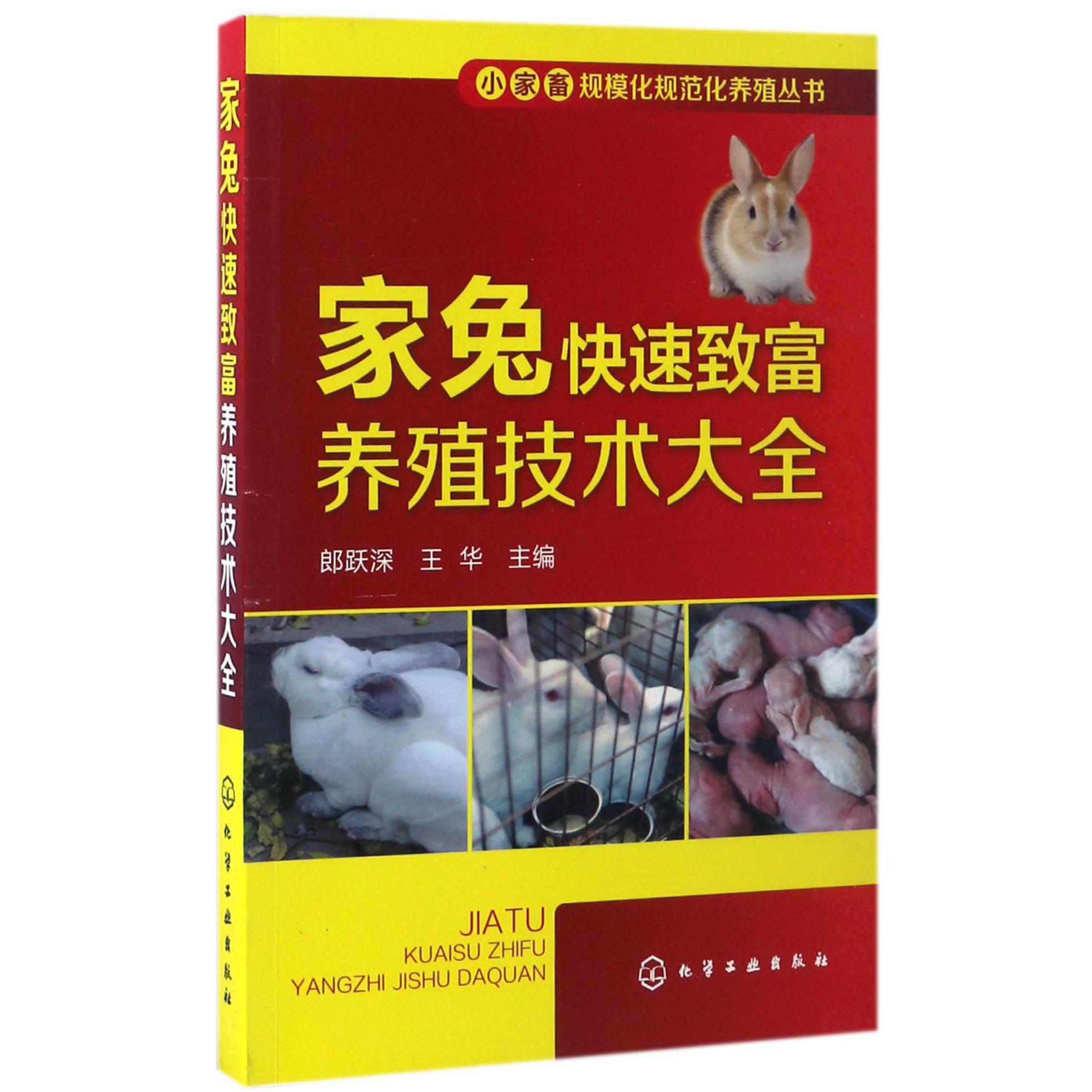 家兔快速致富养殖技术大全/小家畜规模化规范化养殖丛书