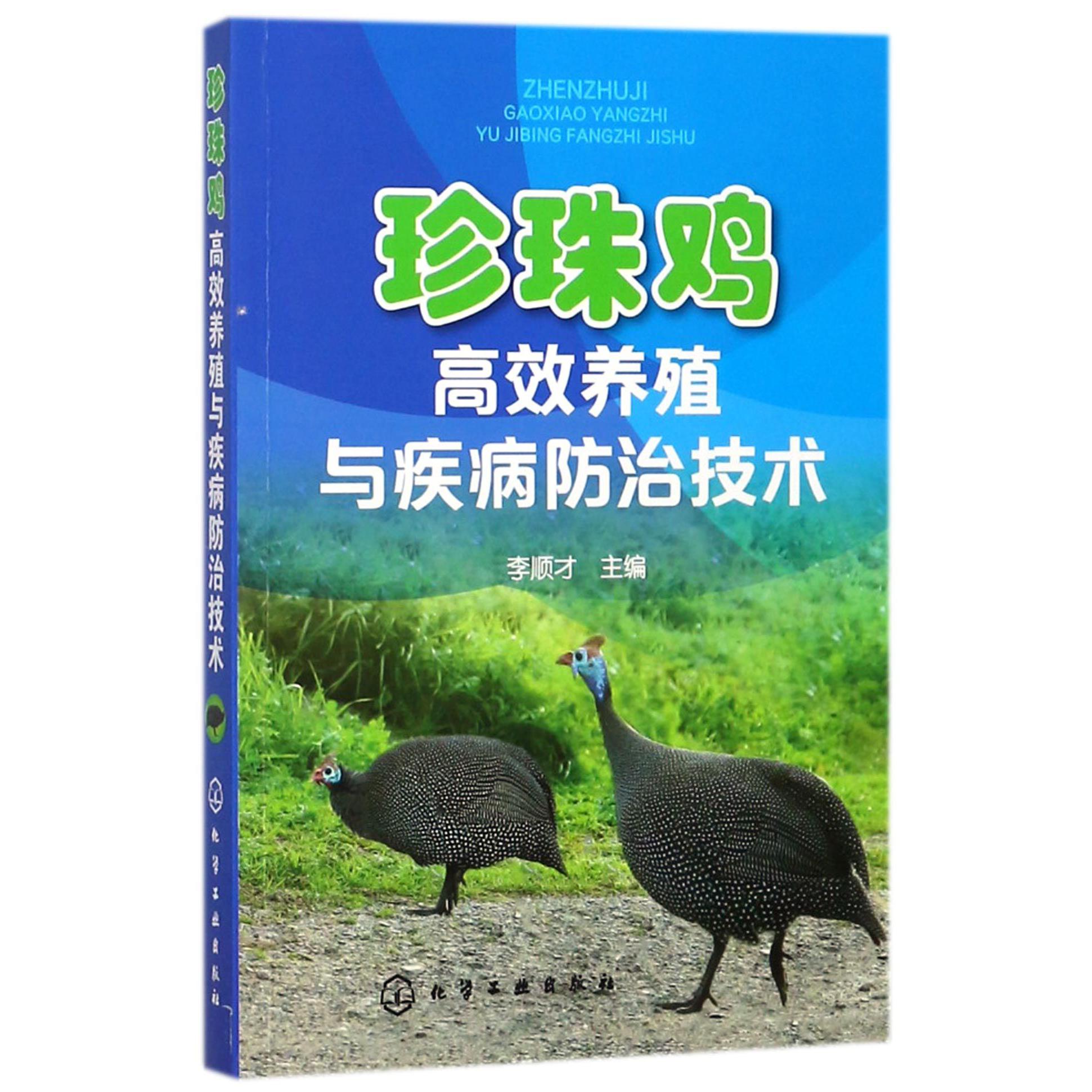 珍珠鸡高效养殖与疾病防治技术