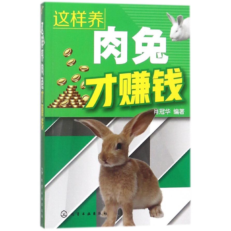 这样养肉兔才赚钱